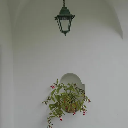 Villa Matermania *