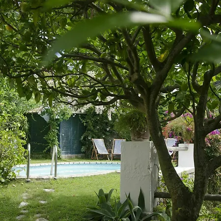 Villa Matermania *