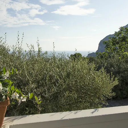 Villa Matermania Capri